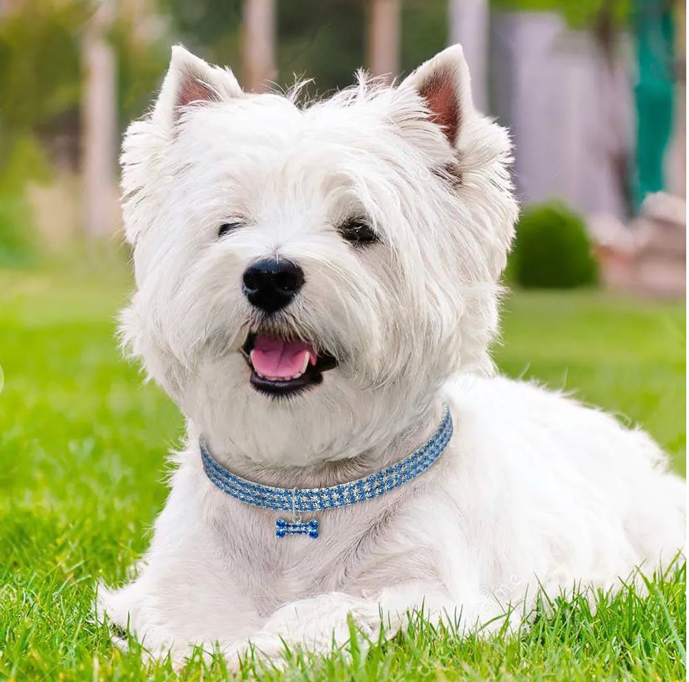 Luxury Crystal Dog Necklaces Pet Collar Diamonds Rhinestone Elastic Dog Collar Bone