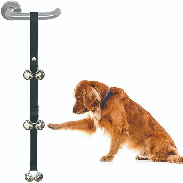 Pet Door Bell Training