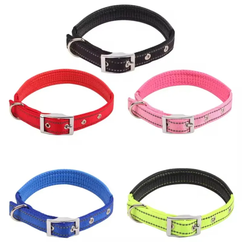 Reflective Collar View 2