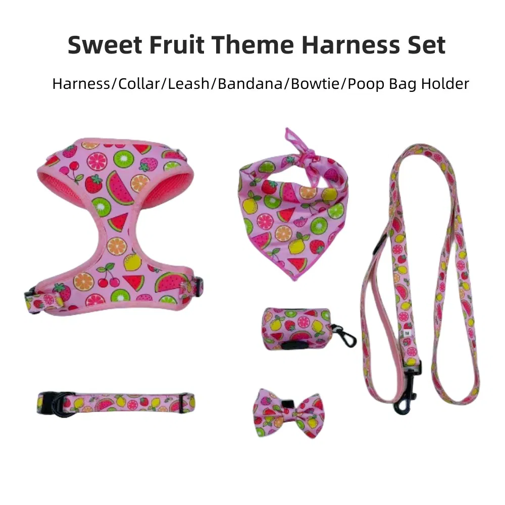 Custom Logo Dog Harness 6-Pieces Set with Small Quantity Order Pet Harness Wholesale Customized Pet Bandana Bowtie Dog Leash Dog Collar &amp; Dog Harness