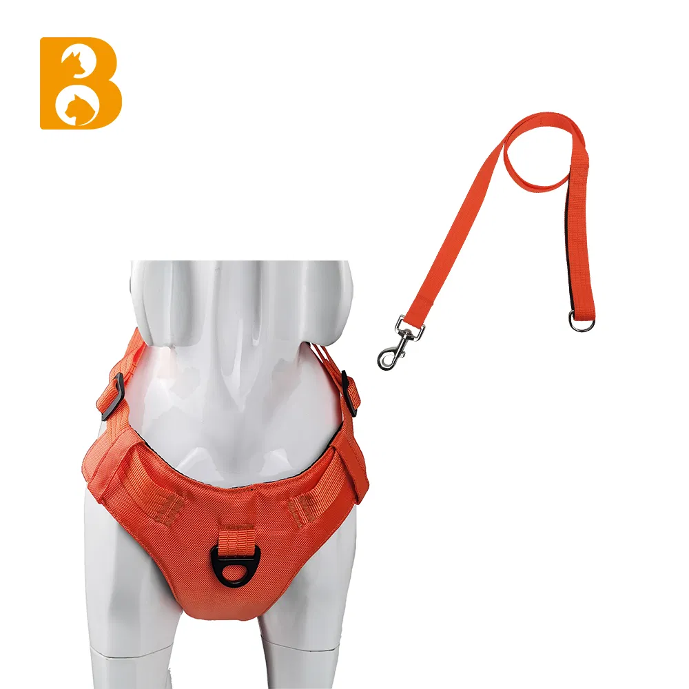 Sports Style Polyester Adjustable High Quality Nylon Matching Pet Dog Harness and Leash