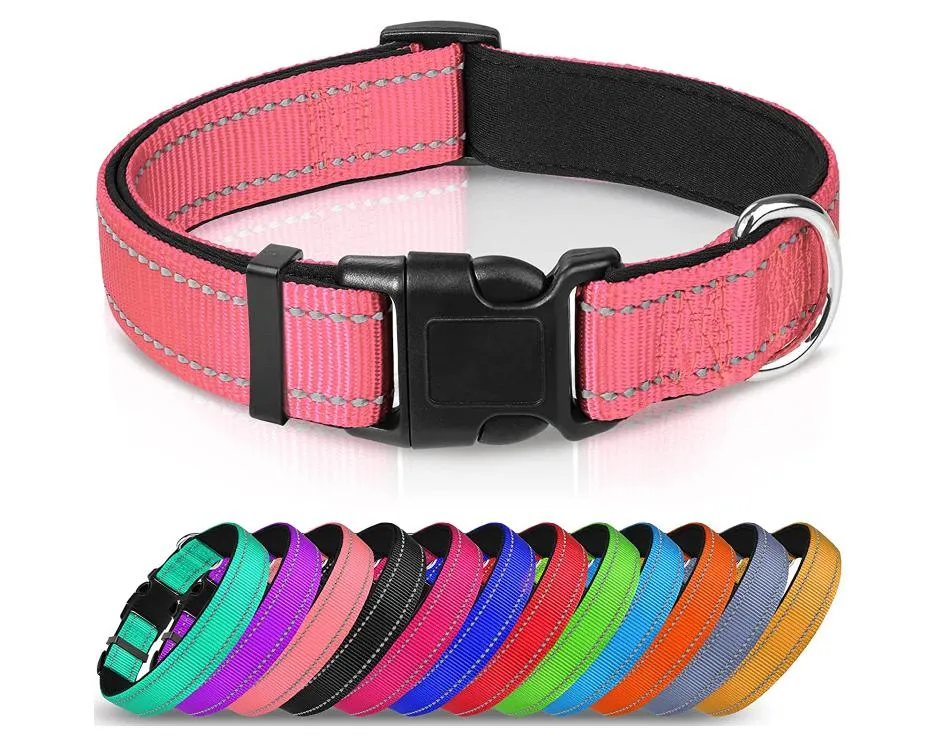 Reflective Dog Collar 1