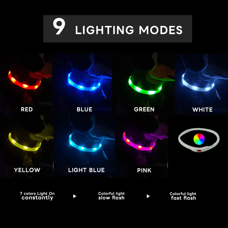Pet Glowing Accessories 3