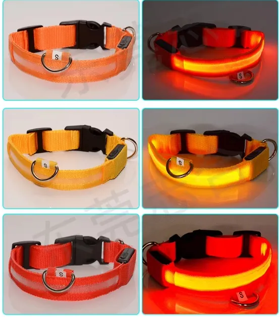 Washable LED Collar