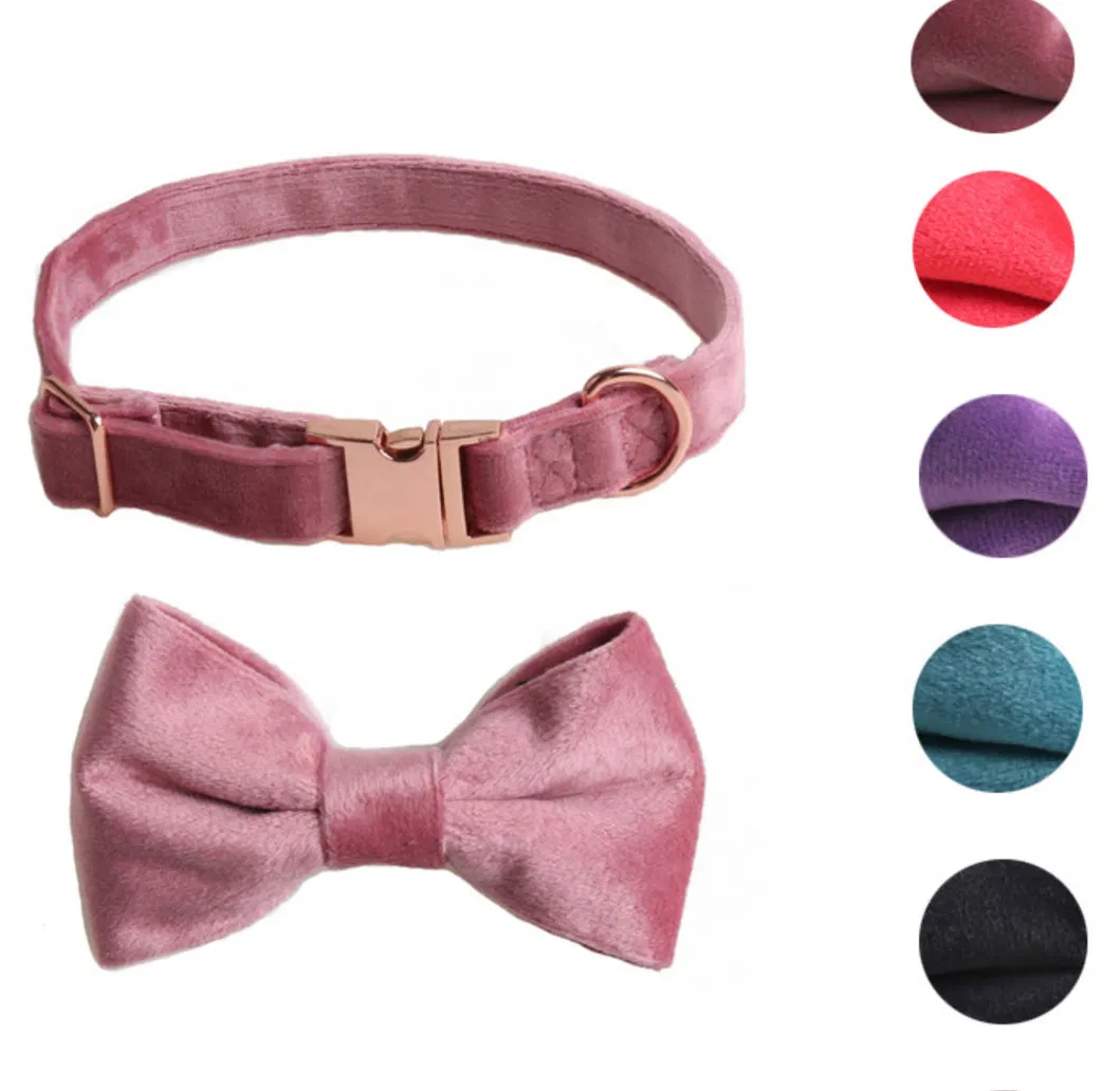 Blue Pet Accessories