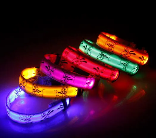 LED Dog Collar