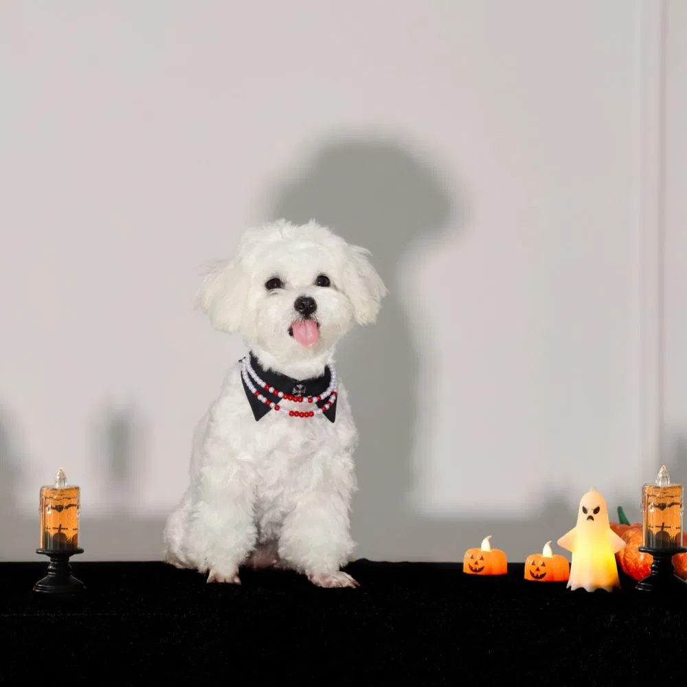 Fashion Pearl Halloween Style Pet Dog Collar Lovely Dog Cat Necklace Pet Accessories Supplies