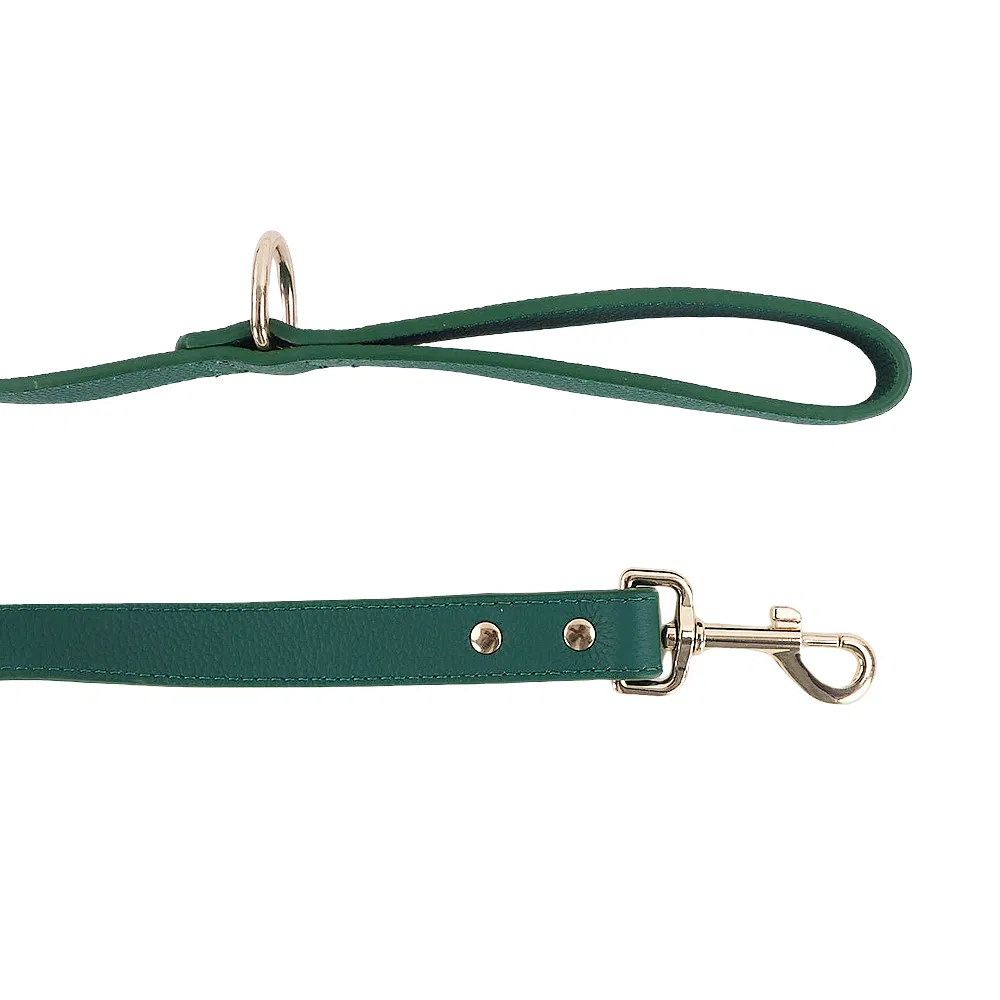 Luxury Dog Collar Detail 7