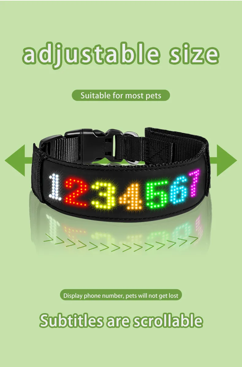 Rechargeable LED Collar