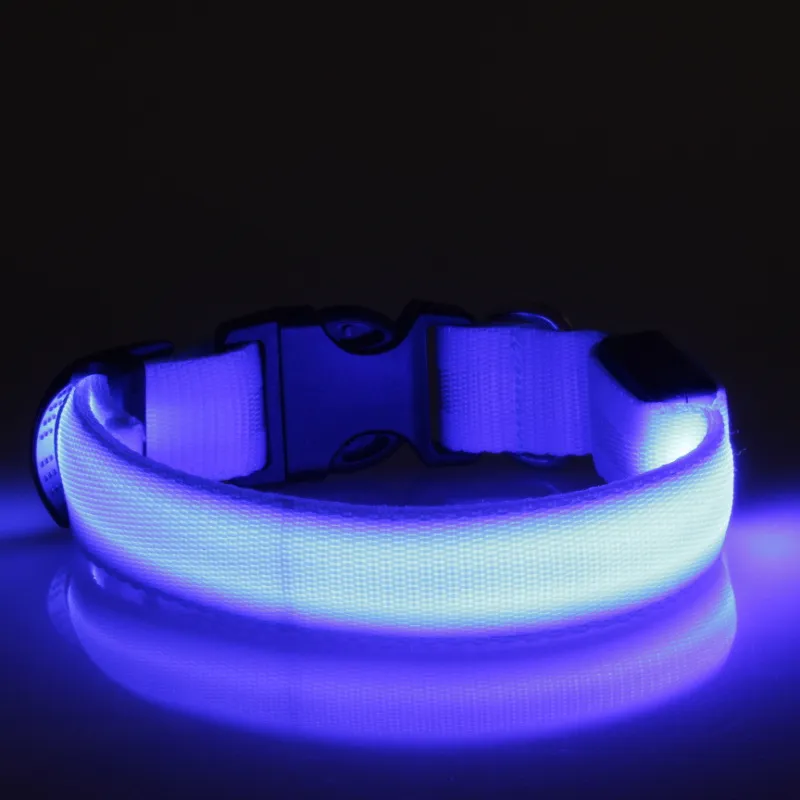 LED Collar 6