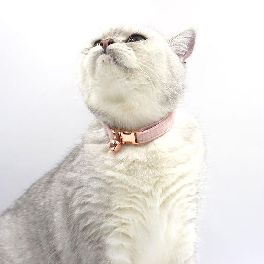 Pet Supplement Cat and Dog Collar Luxury Pet Collars