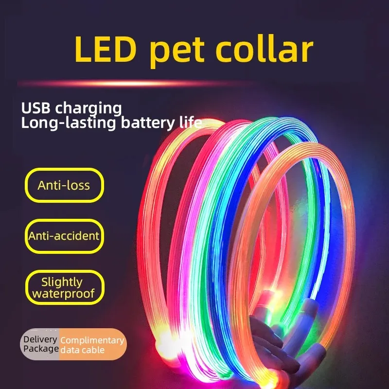 LED Luminous Collar 1