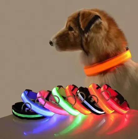 LED Dog Collar