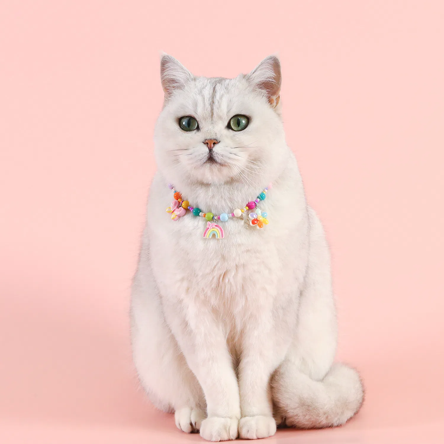 Colorful Bead Pet Collar with Charms - Adjustable Cat &amp; Small Dog Necklace