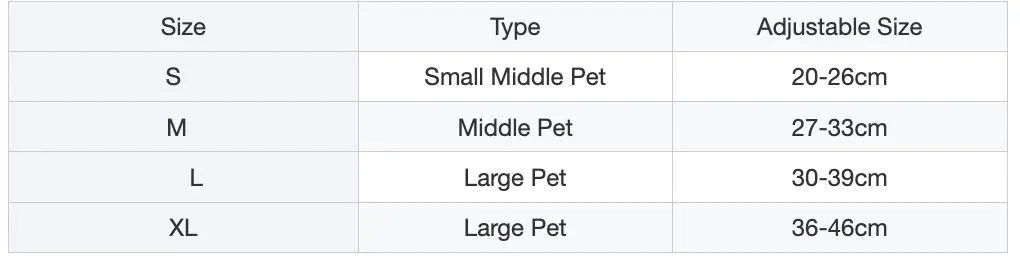 Personalized Dog Collar 10