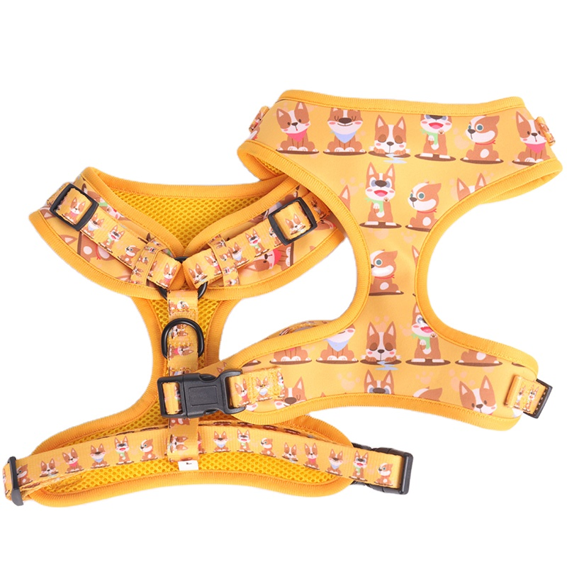 2021 Pet Dog Harness Set Padded Soft Puppy Collar Leash and Harness/Pet Toy
