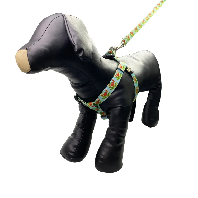 Travel Dog Cool Harness and Leash