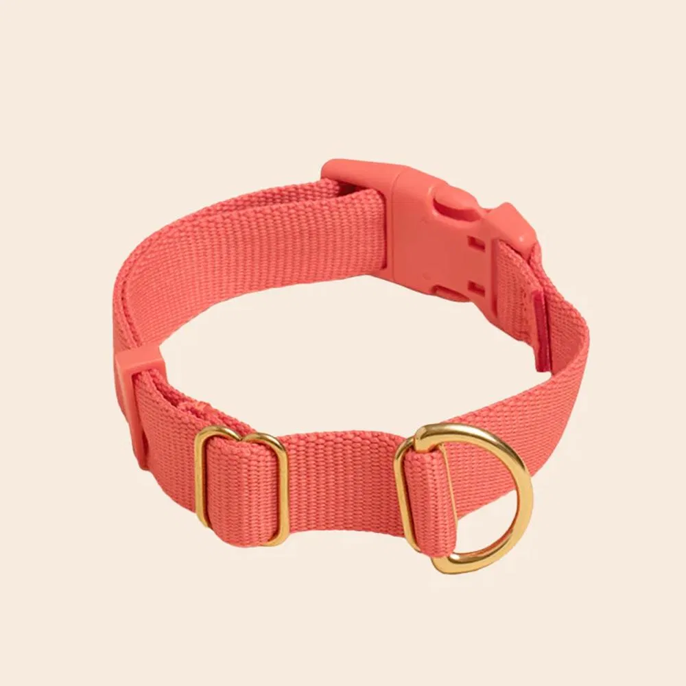 Hot Selling Premium Adjustable Stylish Durable Nylon Pet Collar Strong Safety Locking Buckles for Any Size Breed