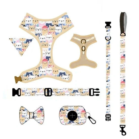 Hot-Selling Pet Supplies Dog Harness Leash Collar Set with Color Personalized Nylon Animal Soft Cushion Pet Toy/Wholesale