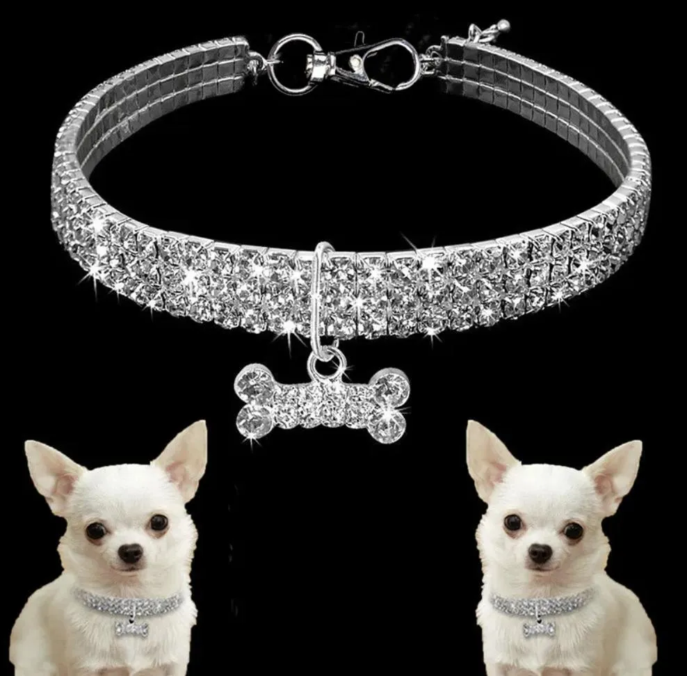 Pet Collar View 9