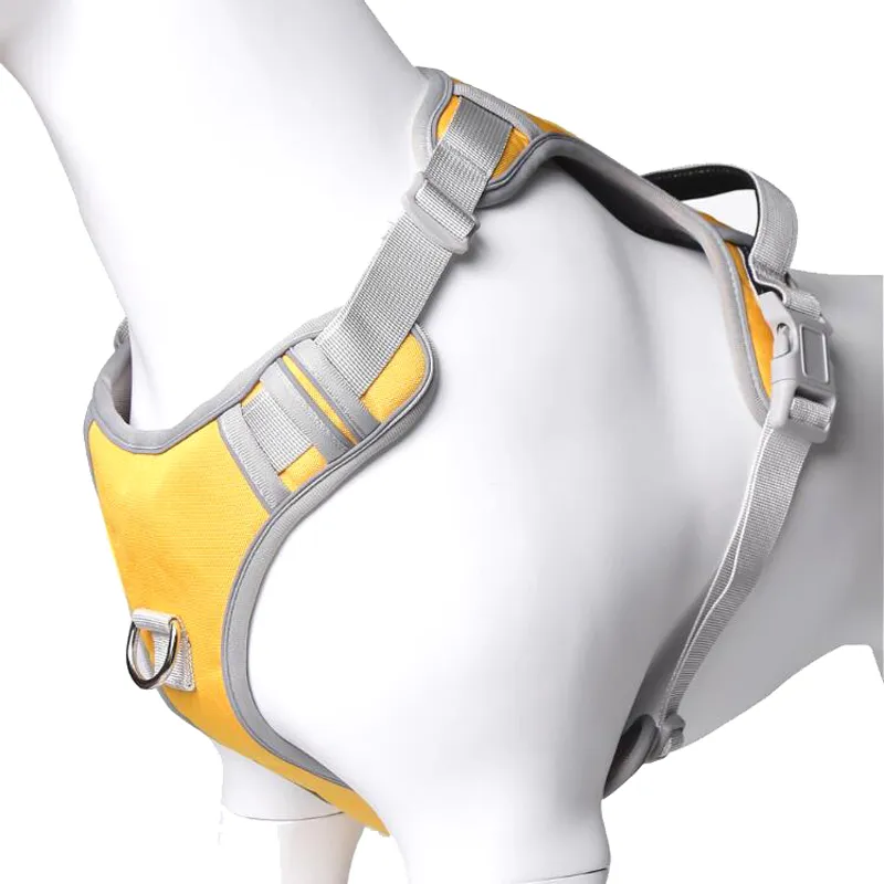 Rainbow Dog Harness Detail 2