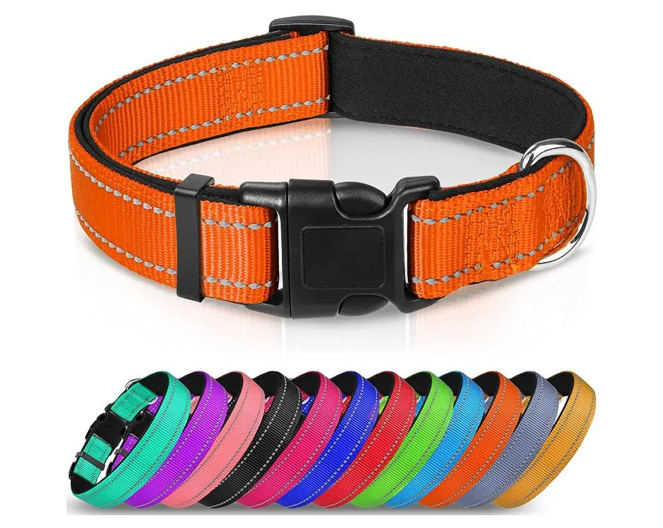 Reflective Dog Collar 8