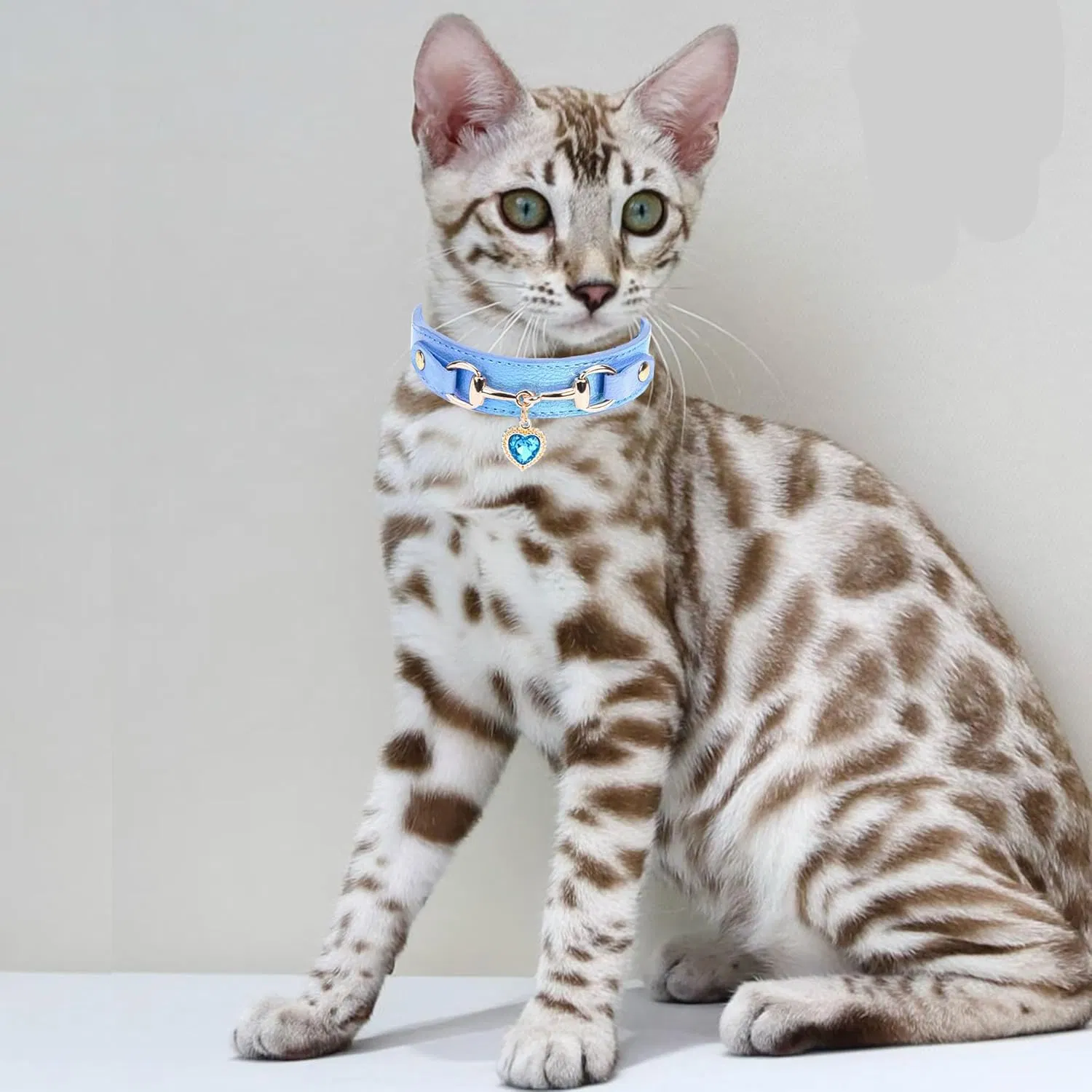 Luxury Rhinestone Pet Collar for Dogs and Cats