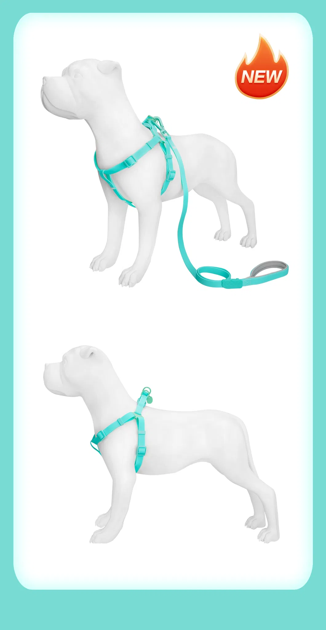 Pet Harness Gallery 2