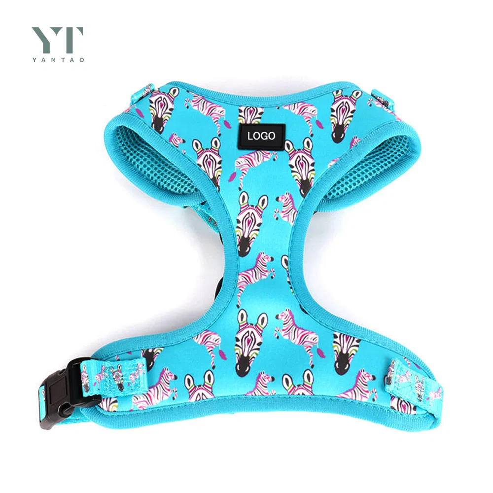 Pet Supplies Neoprene No Pull Harnesses Custom Luxury Pet Accessories Collar Custom Printed Pet Harness and Collar with Dog Bandana