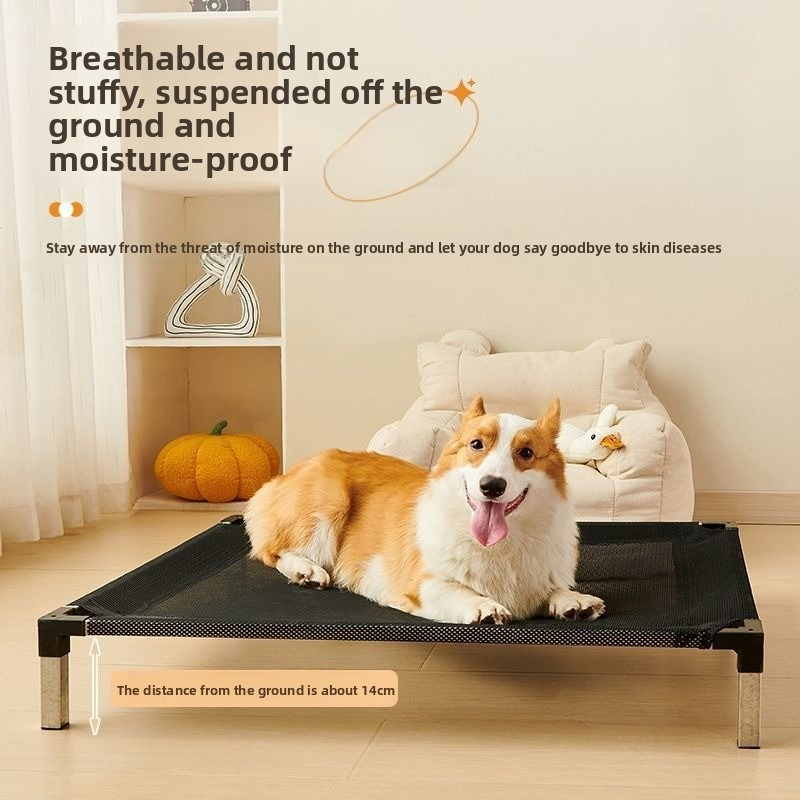 Wholesale Manufacturer Durable Fiber Raised Rectangle Fashion Pet Dog Bed Elevated Removable Washable