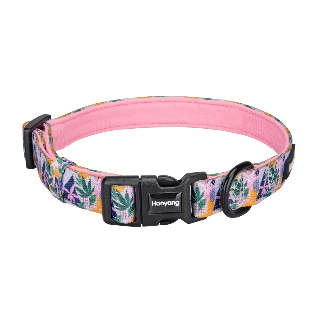 Pet Collar Design