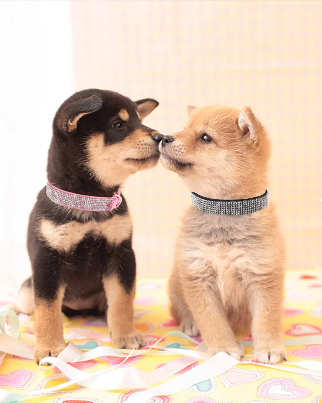 Dog Collar for Small Dogs Adjustable Leather Suede Bling Dog Collars