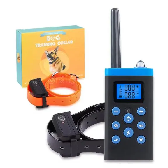 Pet Trainer Detail 1