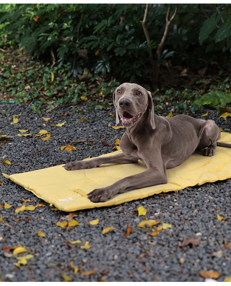 Portable Large Pet Dog Travel Mat with Handle Rollup Pet Camping Gear Travel Bed Accessories