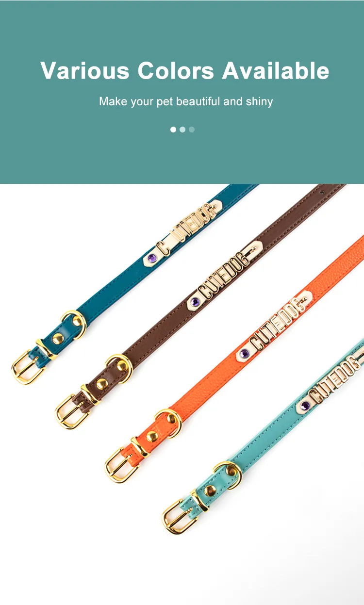 Pet Collar Customization