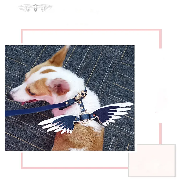 Leather Dog Collar EA080