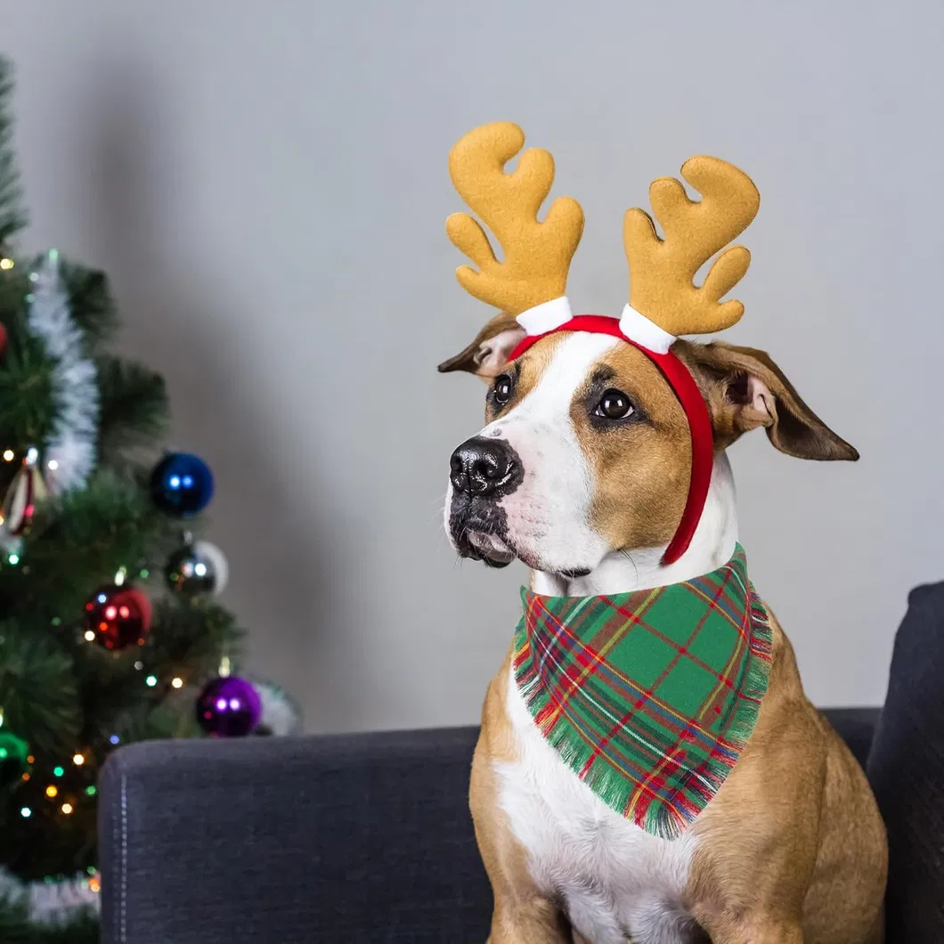 Dog Bandana Plaid View 3