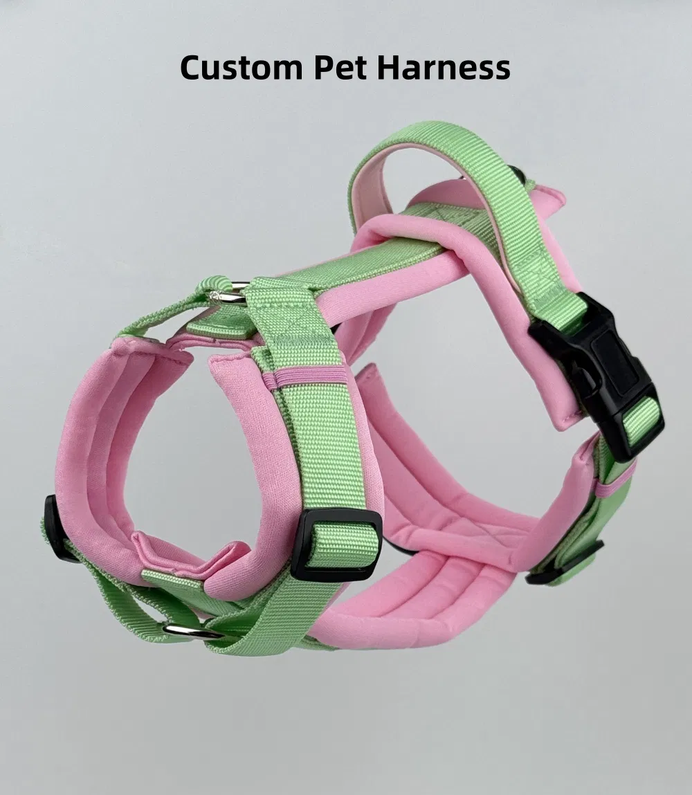 Dog Harness Detail 1