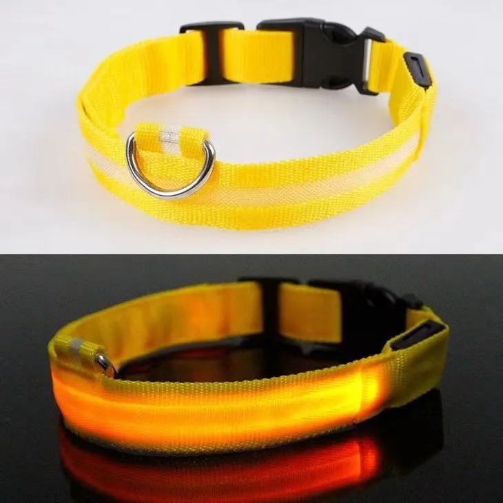 LED Collar Detail 5
