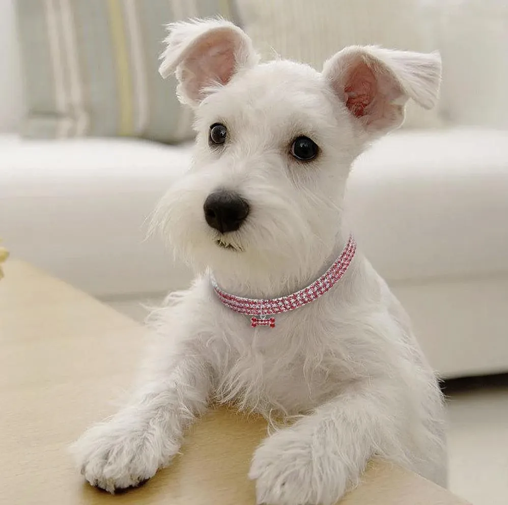 Luxury Pet Diamonds