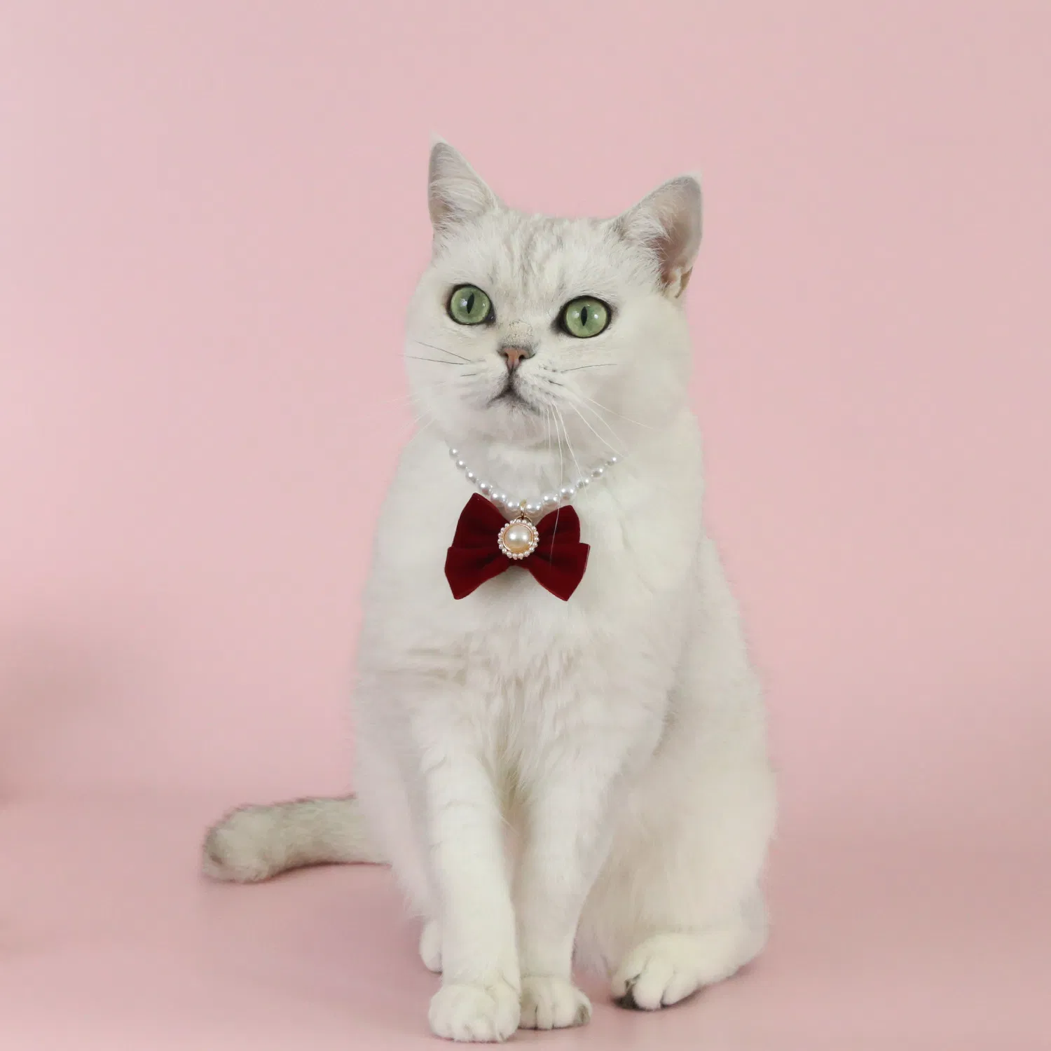 Pearl Velvet Bow Pet Collar 3