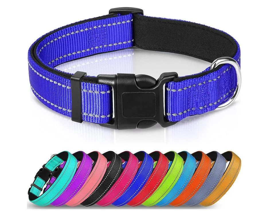 Reflective Dog Collar 3