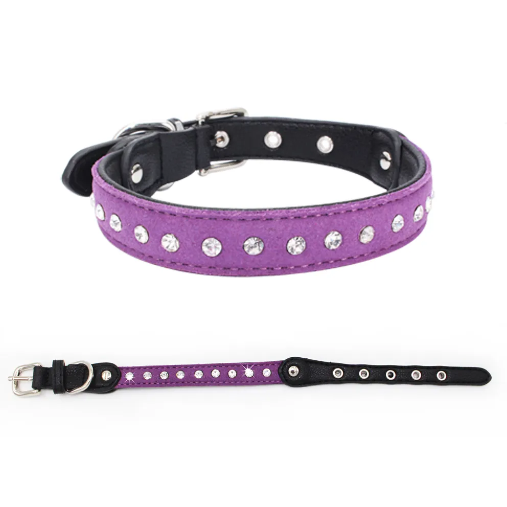 Dog Collar View 4