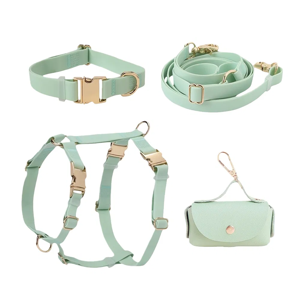 Pet Leash Set 1