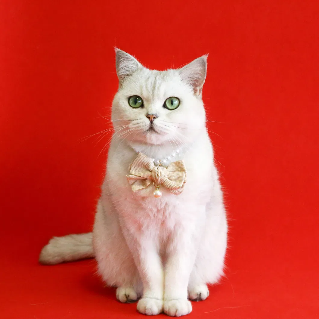 Pearl Collar Detail 6