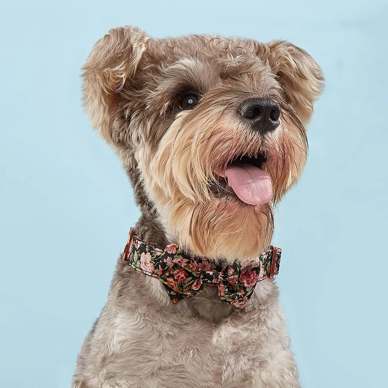 Floral Dog Collar for Girl Dog Soft Comfy Pet Collars with Safety Buckle Detachable Flower