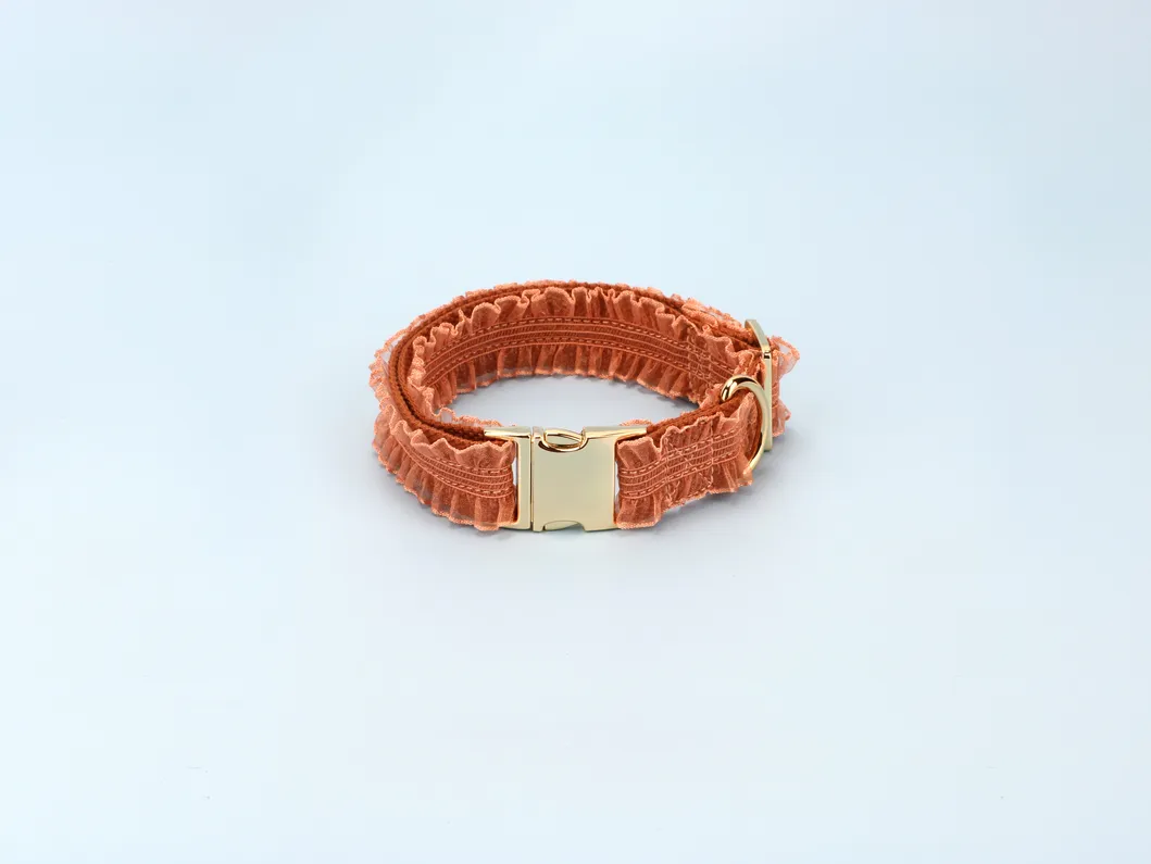 Lace Dog Collar Detail 2