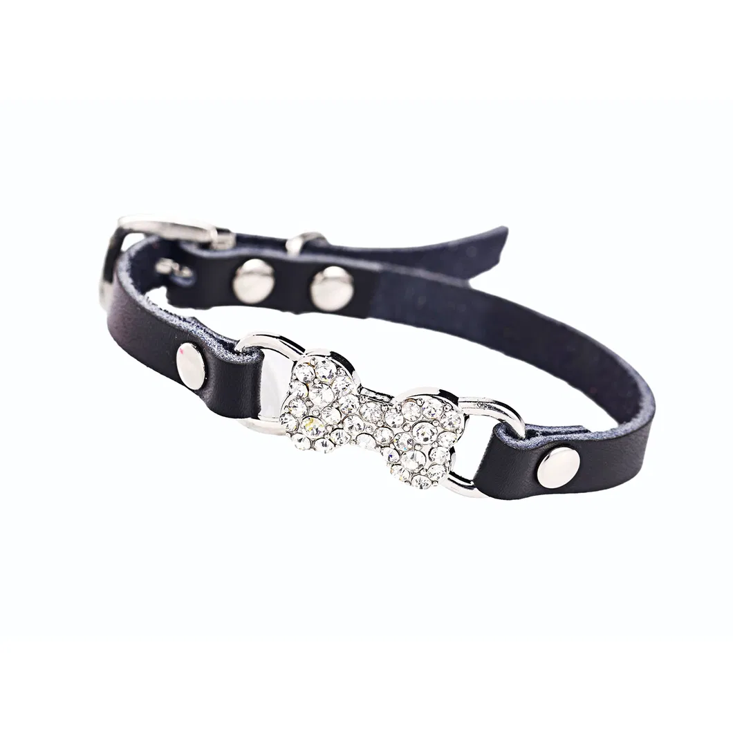 Rhinestone Dog Collar 2