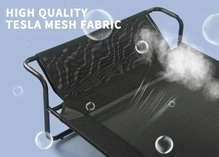 Raised Cots for Dogs