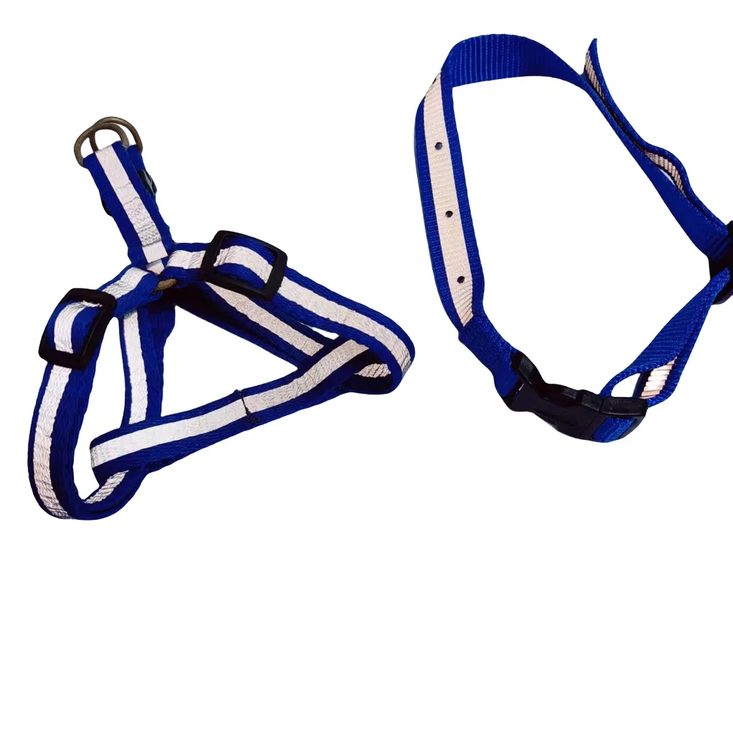 LED Dog Collar Detail 5